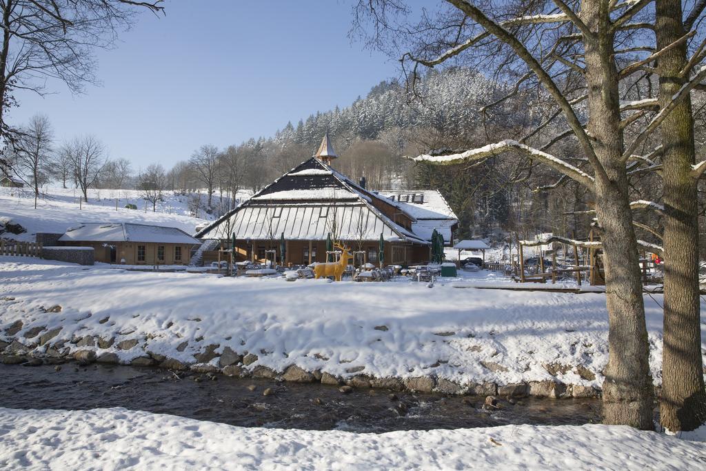 Gaestehaus Der Geroldsauer Muehle Баден-Баден Екстер'єр фото